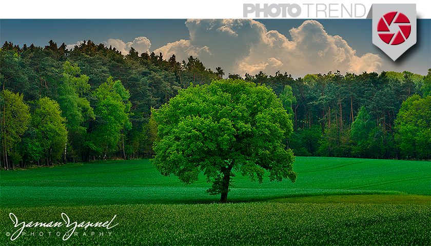 filigran - filigrane - wasserzeichen - watermark