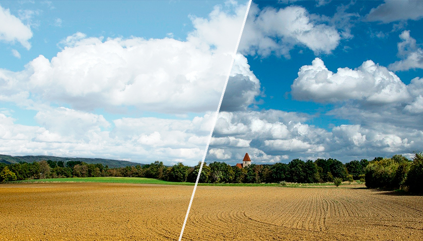 polarization filter improves color saturation and contrast