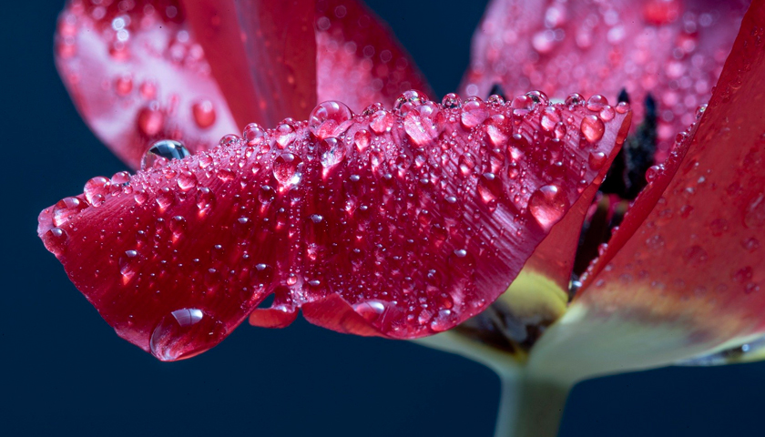 Extension Tubes